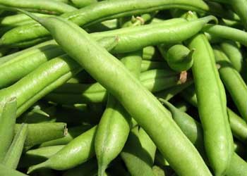 Green Beans