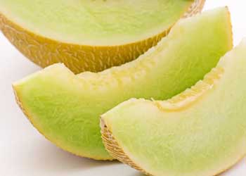 Honeydew