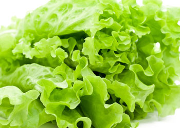 Lettuce