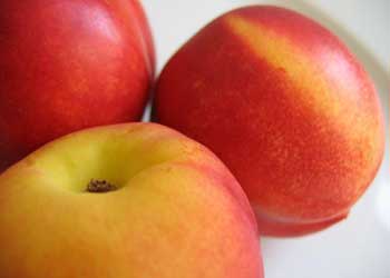 Nectarines