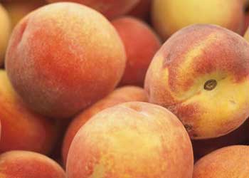 Peaches
