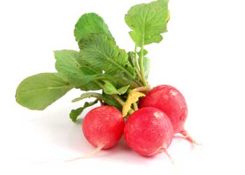 Radishes