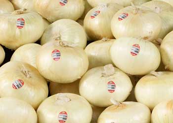 Sweet Onions