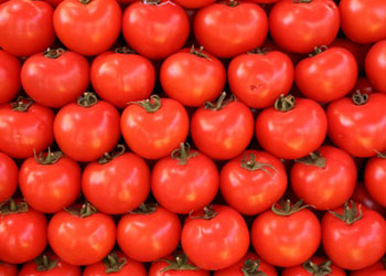 Tomatoes