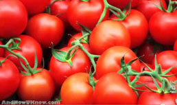Produce for Kids, Pandol Brothers and Mastronardi