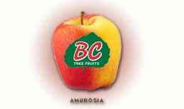 BC Tree Fruits Ambrosia Apple