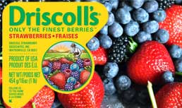 Driscoll's Berry Patch Push