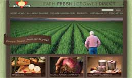 Gills Onions: New Website Makes a Splash