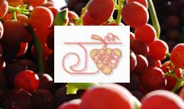 Jasmine Vineyards: Transitions Into Late Season Grapes