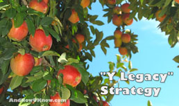 Legacy Foodservice Alliance asks Y