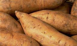 Market Update: Sweet Potatoes