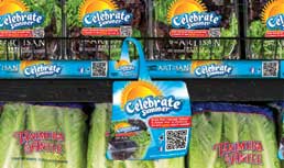 Tanimura & Antle, Stemilt Growers and DeltaTRAK