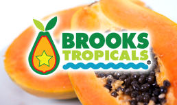 Brooks Tropicals Welcomes Peter Leifermann