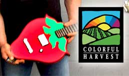 Colorful Harvest: Aid Childhood Food Allergies