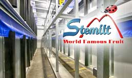 Stemilt: New Tarpless&reg; Ripening Rooms