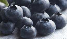 USDA: Blueberry Research Voting Results
