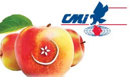 CMI: Ambrosia Apples