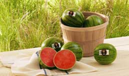 Dulcinea: Summer Melons