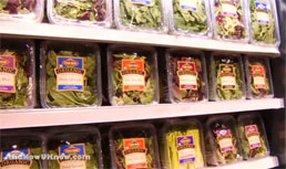 Classic Salads: Organic Baby Leafy Greens