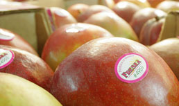 Freska Produce, Sun Maid and Cal Giant