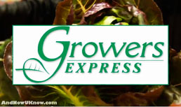 Growers Express: Heirloom Red Romaine