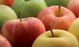 Apple Update