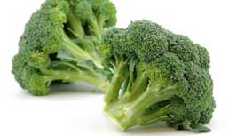 Broccoli Update