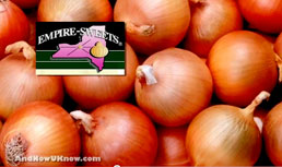 Special Edition : Sweet Onion Update