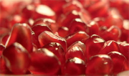NatureSeal, First Fruits of Washington & King Fresh