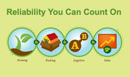 L&M Companies: Consistency Counts