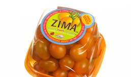 Mastronardi Produce: Zima Tomatoes