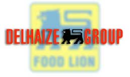Food Lion: Store Level Changes Create Bottom Line Results