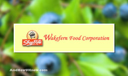 Wakefern Promotes Four for the Future