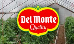 Del Monte Fresh, Sun World and Hollandia