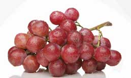 Dulcich, Allen Lund and SuperFresh Growers