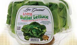 Hollandia, FreshPoint and USDA