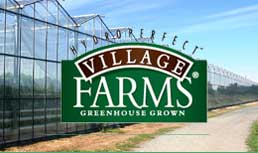 Village Farms, California Table Grape Commission and United Fresh