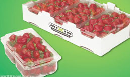 Sambrailo Packaging: New Clamshells for Foodservice
