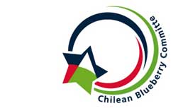 Chilean Blueberry Committee: Increasing Exports Annually