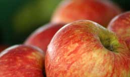 Amerifresh: Imported Apples Dazzle at CPMA 2011