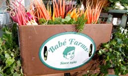 Babe Farms: Specialty Veg On Display At CPMA 2011