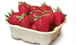 Earthcycle Packaging: Eco-Friendly Packaging