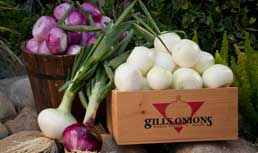 Gills Onions: An Essential Ingredient