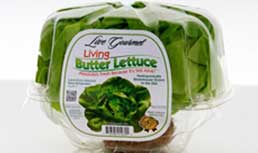 Hollandia: New Space Saving Clamshells Debut at PMA Fresh Summit 2011