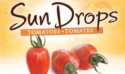 Mucci: New Sun Drop Grape Tomatoes