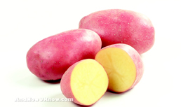 Exciting Things From Potandon Produce
