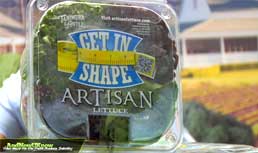Tanimura & Antle: Artisan Lettuce Evolves at Southern Exposure 2011