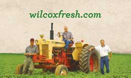 Wilcox Fresh: Improving Category Management For Potatoes And Onions