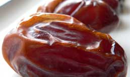 Sun Date: Medjool Dates at Southern Exposure 2011
