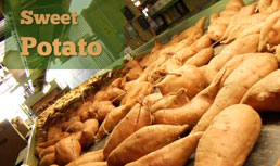 Sweet Potatoes